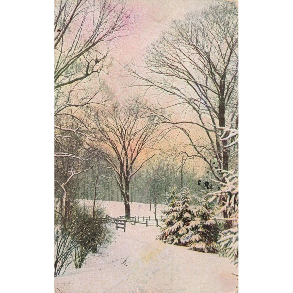 Vtg 1907 Winter Snow Forest RPPC Postcard Sheboygan WI 1c Franklin Stamp - Picture 1 of 2